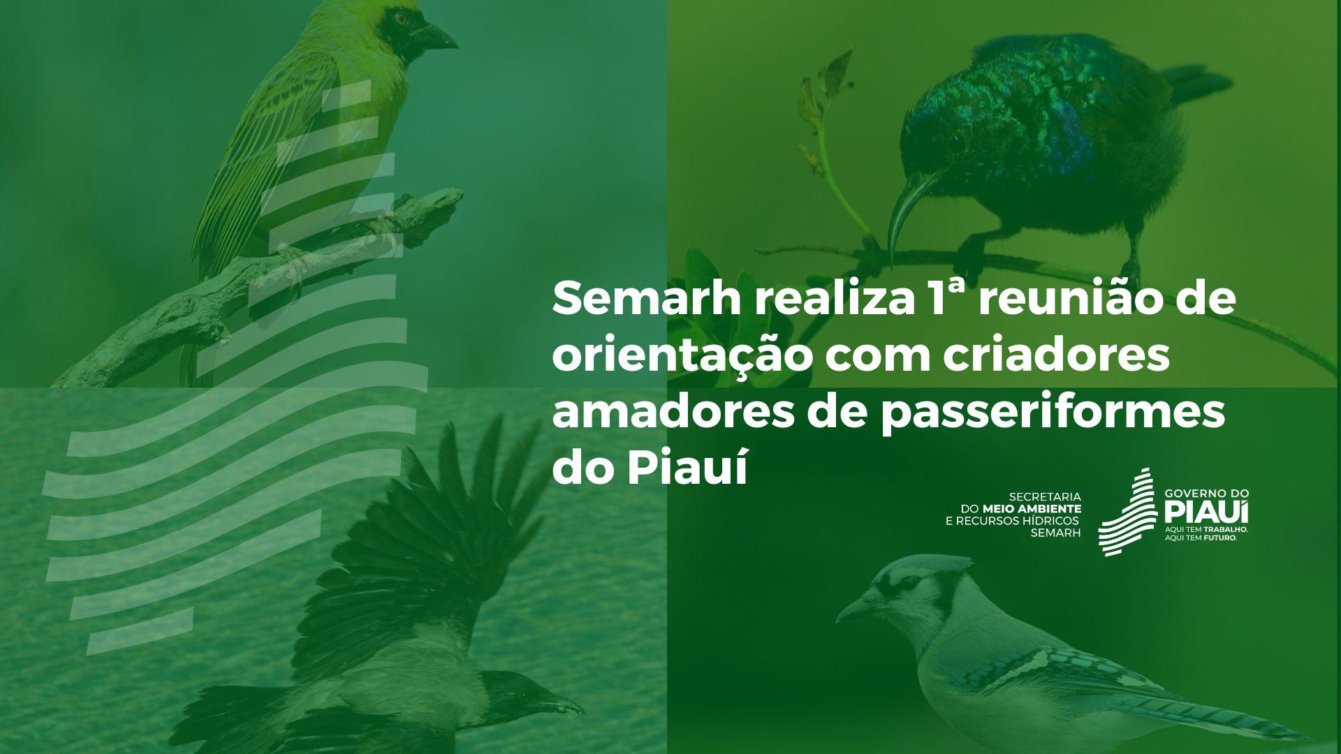 Semarh realiza 1ª reunião de orientação com criadores amadores de passeriformes do Piauí