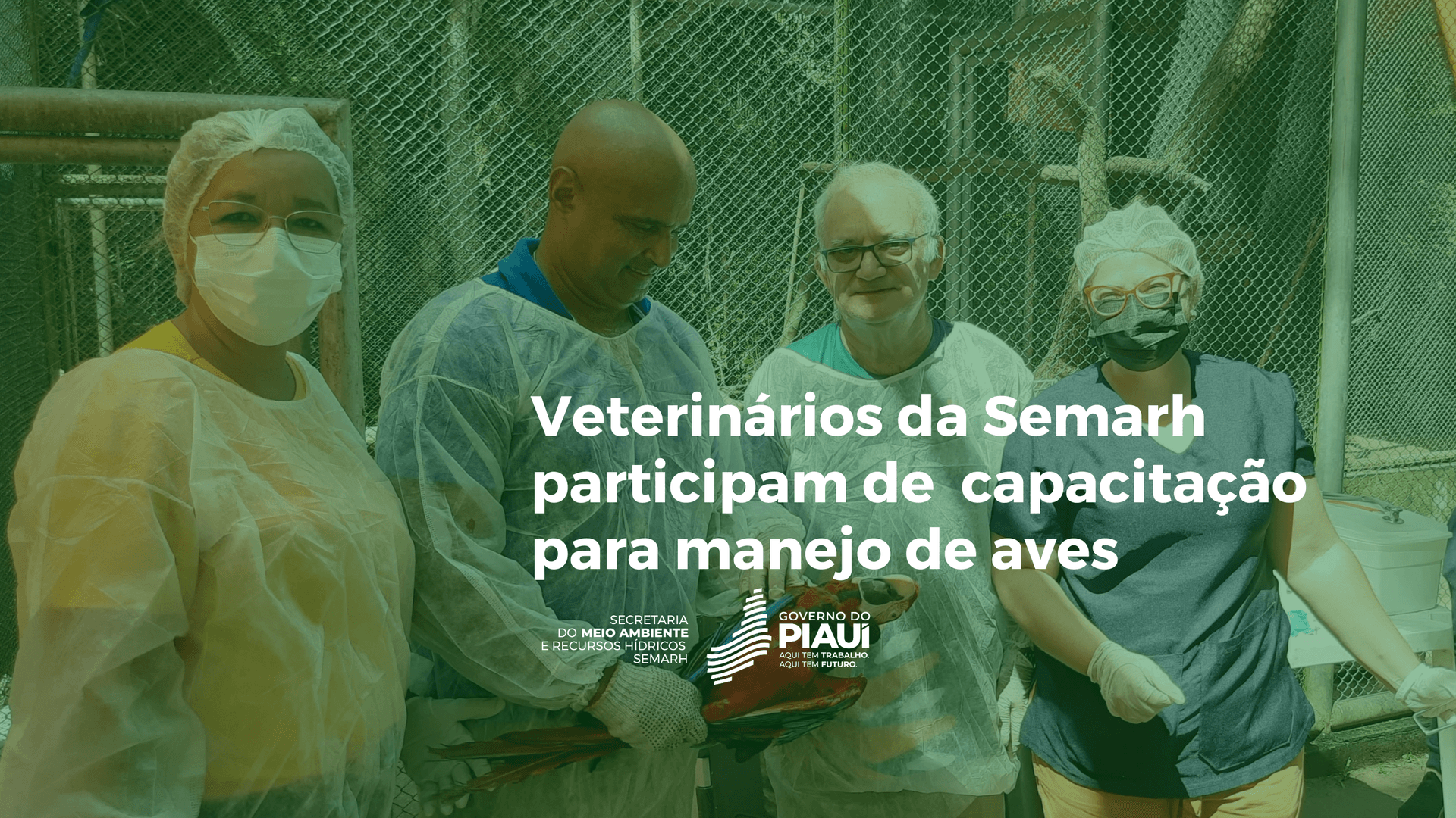 Veterinários da Semarh participam de  capacitação para manejo de aves