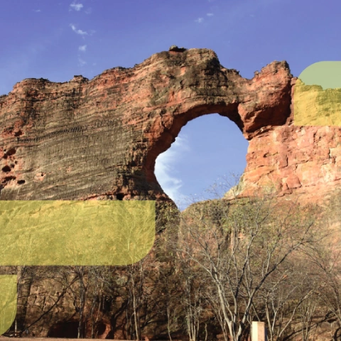 Plano de Ação Climática do Estado do Piauí (PLAC)