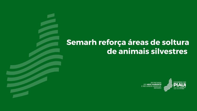 reforca-areas-de-soltura-de-animais-silvestres