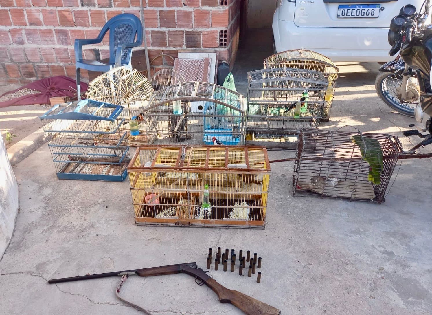 Operação Vale do Sambito