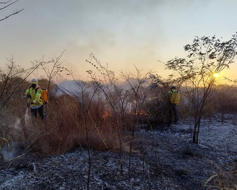 Focos de incêndio no Piauí diminuem 24% em comparação ao ano de 2023