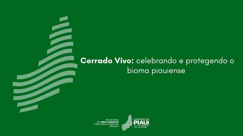 cerrado-vivo-celebrando-e-protegendo-o-bioma-piauiense