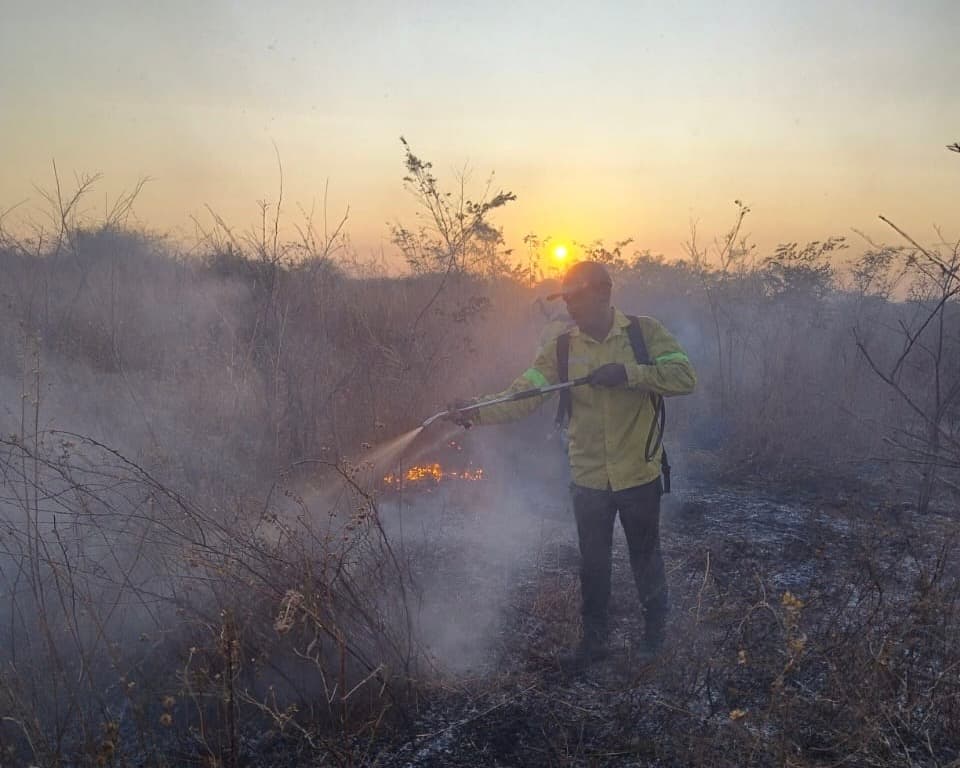 Governo do Estado proíbe o uso do fogo em todo o Piauí