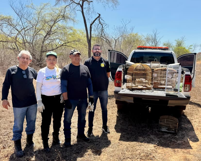 semarh-realiza-a-soltura-de-200-animais-aptos-a-vida-livre-em-2024