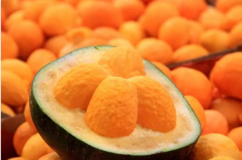 lei-do-pequi-sancionada-pelo-presidente-lula-fortalece-a-preservacao-do-cerrado-e-beneficia-comunidades-do-piaui