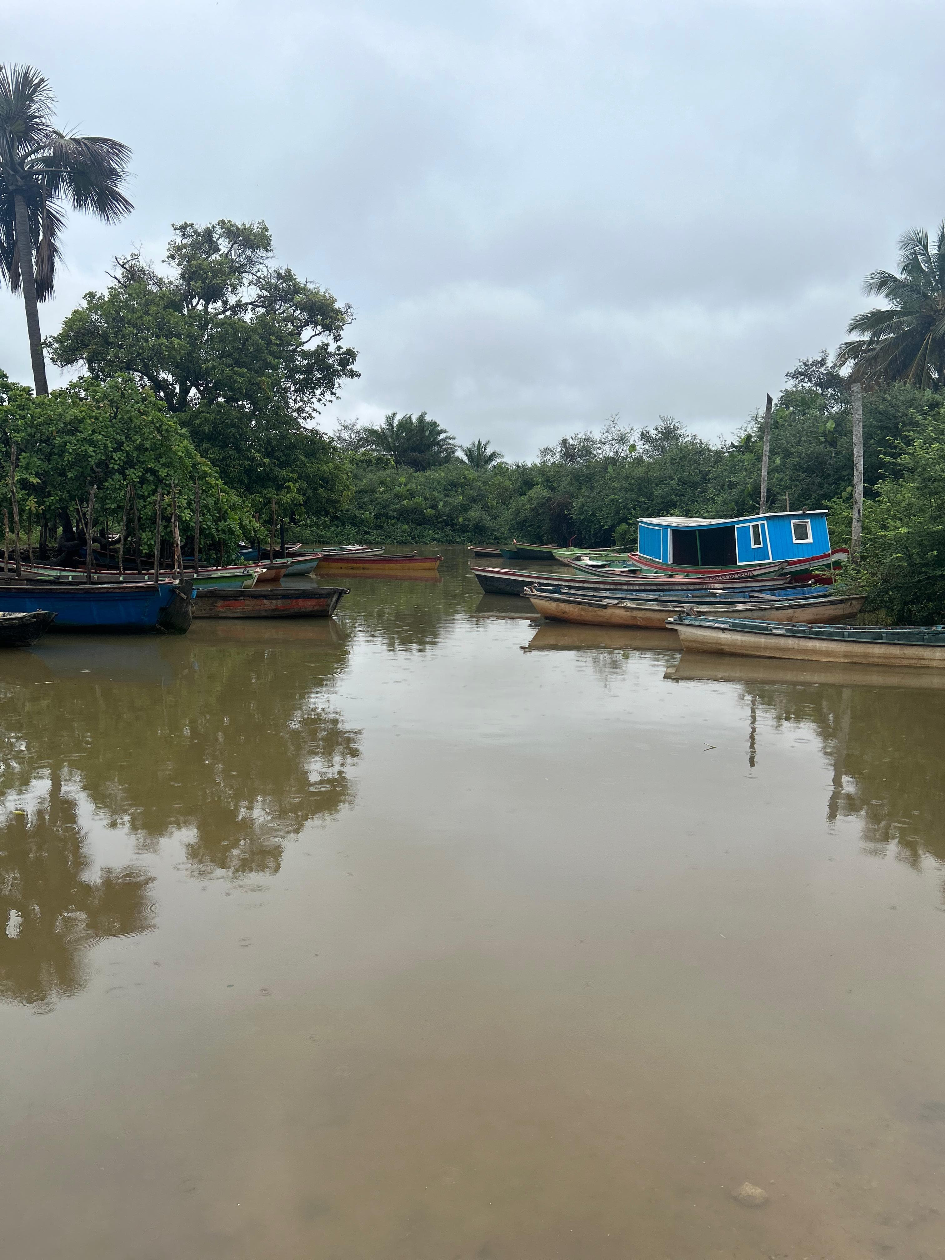 Agentes fiscalizaram áreas de mangues.