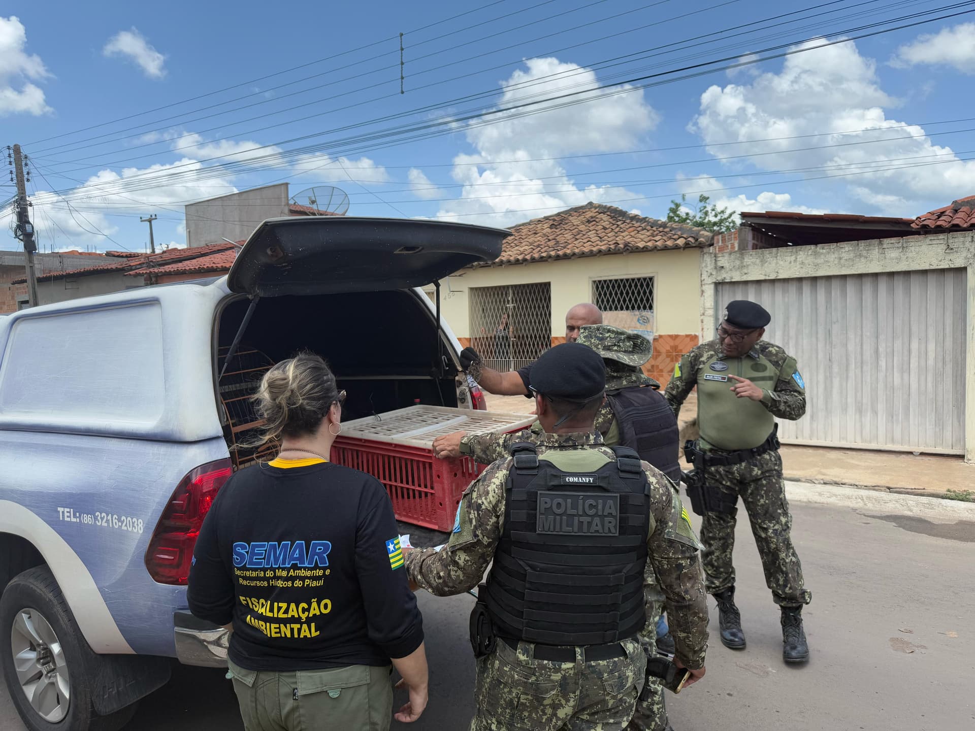 Operação da Semarh resgata aves silvestres e macaco mantido em cativeiro em Esperantina