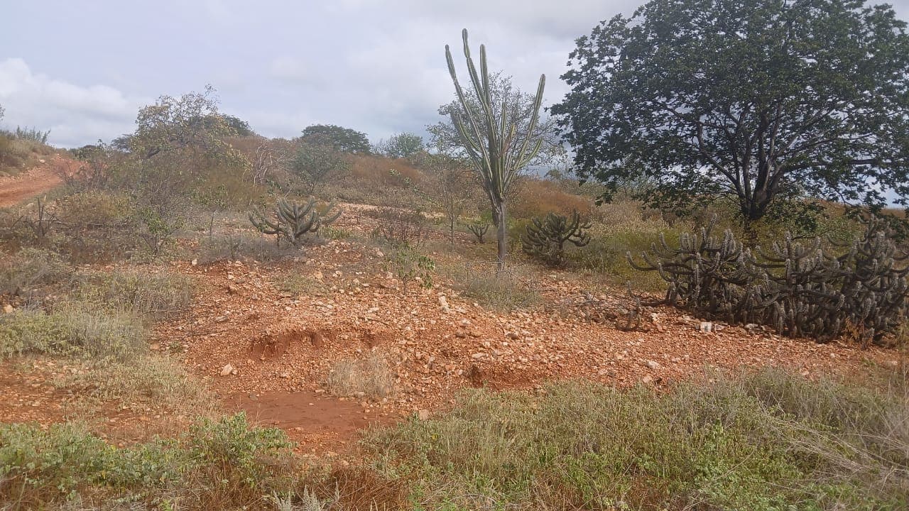 Seca Verde afeta 127 municípios piauienses, alerta Semarh