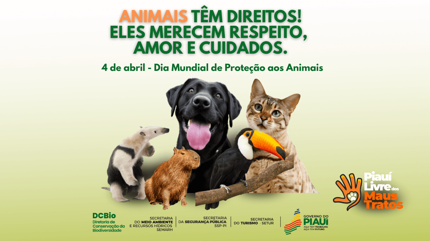 Semarh realiza ações de conscientização para combater os maus-tratos contra os animais durante o Abril Laranja