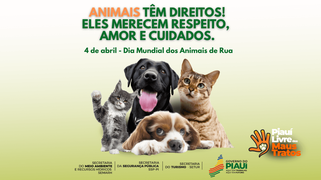 Campanha contra maus-tratos de animais será lançada, nesta sexta-feira (4), em Teresina