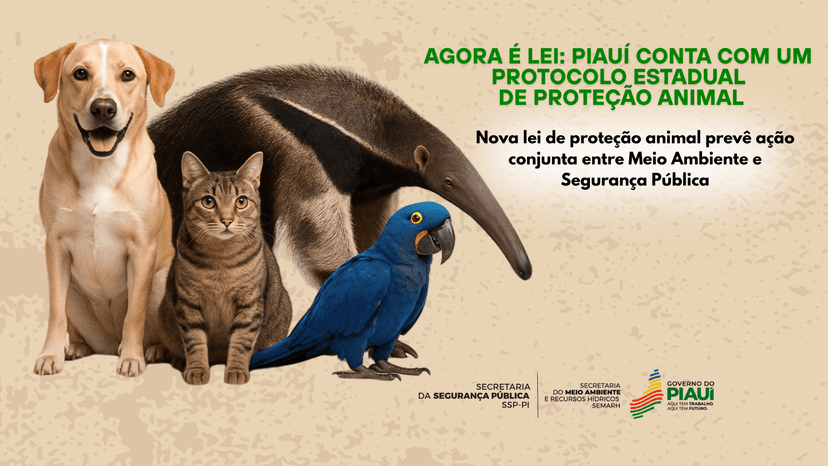 piaui-tem-nova-lei-de-protecao-animal-com-acao-conjunta-entre-meio-ambiente-e-seguranca-publica
