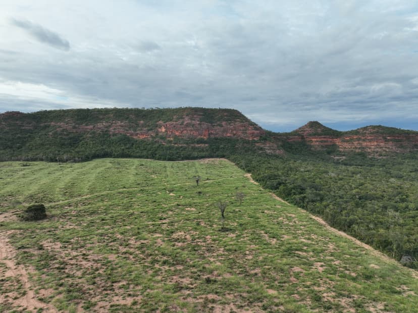 operacao-da-semarh-aplica-multas-milionarias-contra-desmatamento-ilegal-no-sul-do-piaui