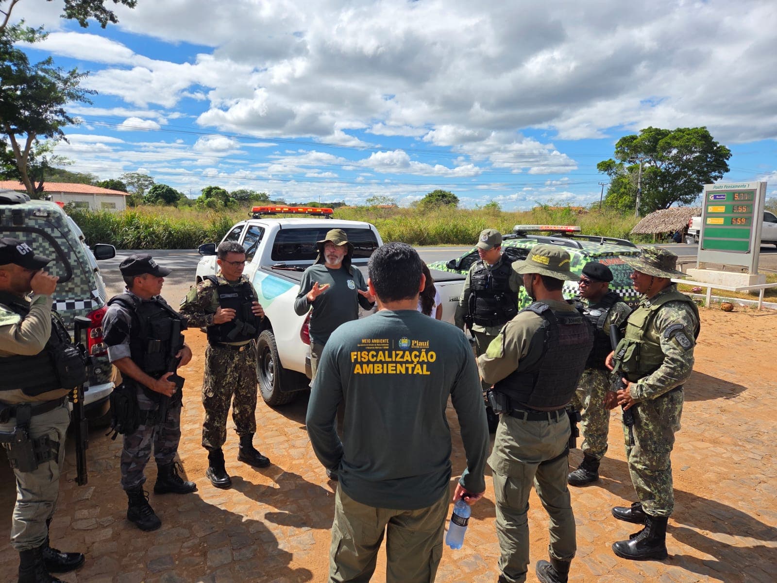 Ação já é considerada a maior operação contra fornos clandestinos de carvão da última década no estado.