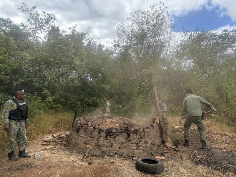 semarh-promove-maior-operacao-da-decada-no-combate-a-fornos-ilegais-de-carvao-no-piaui