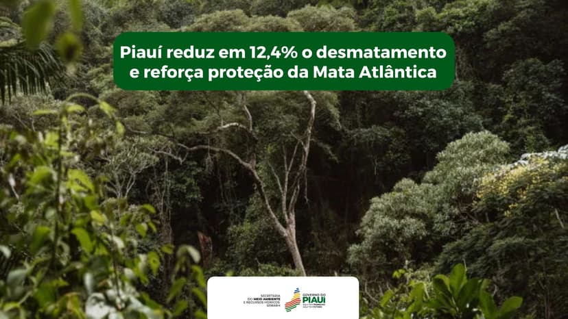 piaui-reduz-em-124-o-desmatamento-e-reforca-protecao-da-mata-atlantica