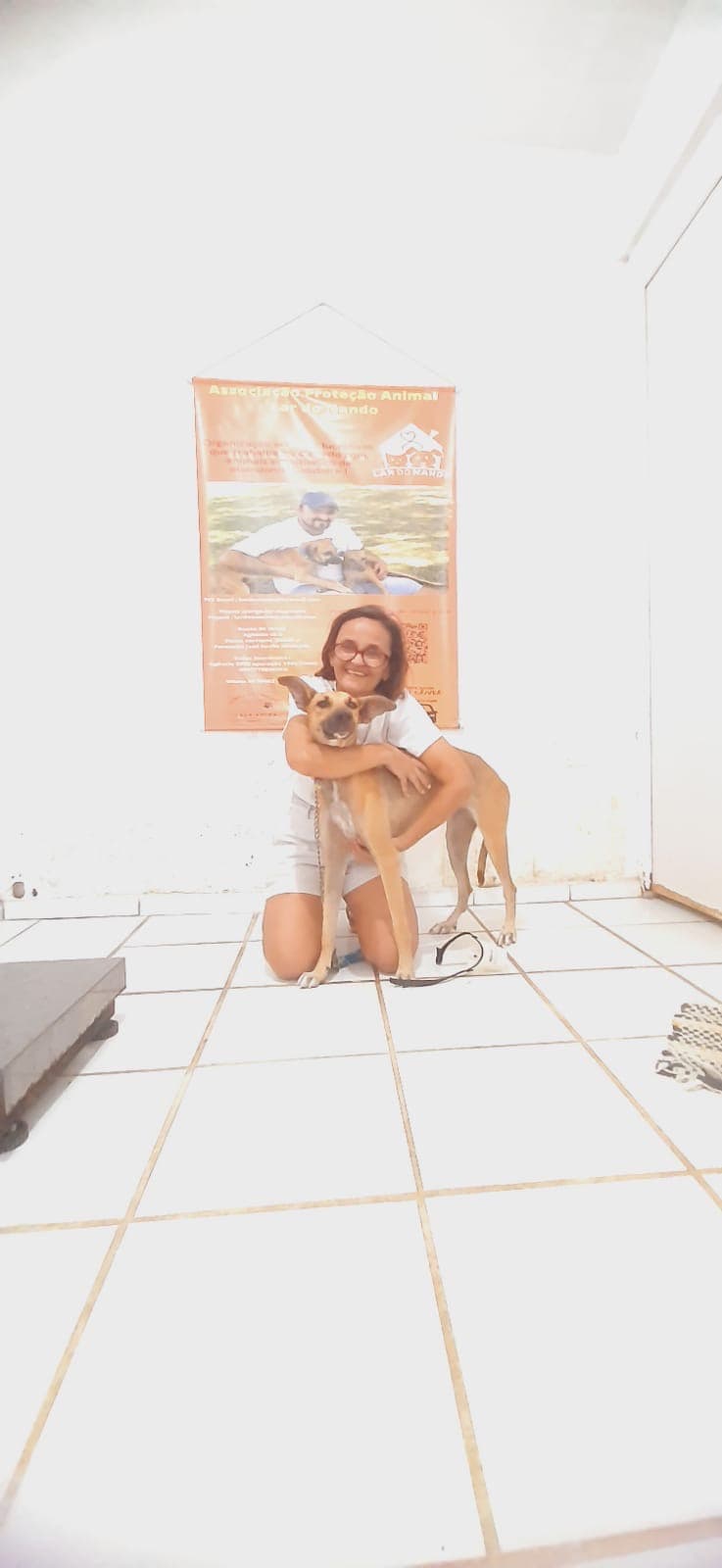 Animais são acolhidos através dos protetores.