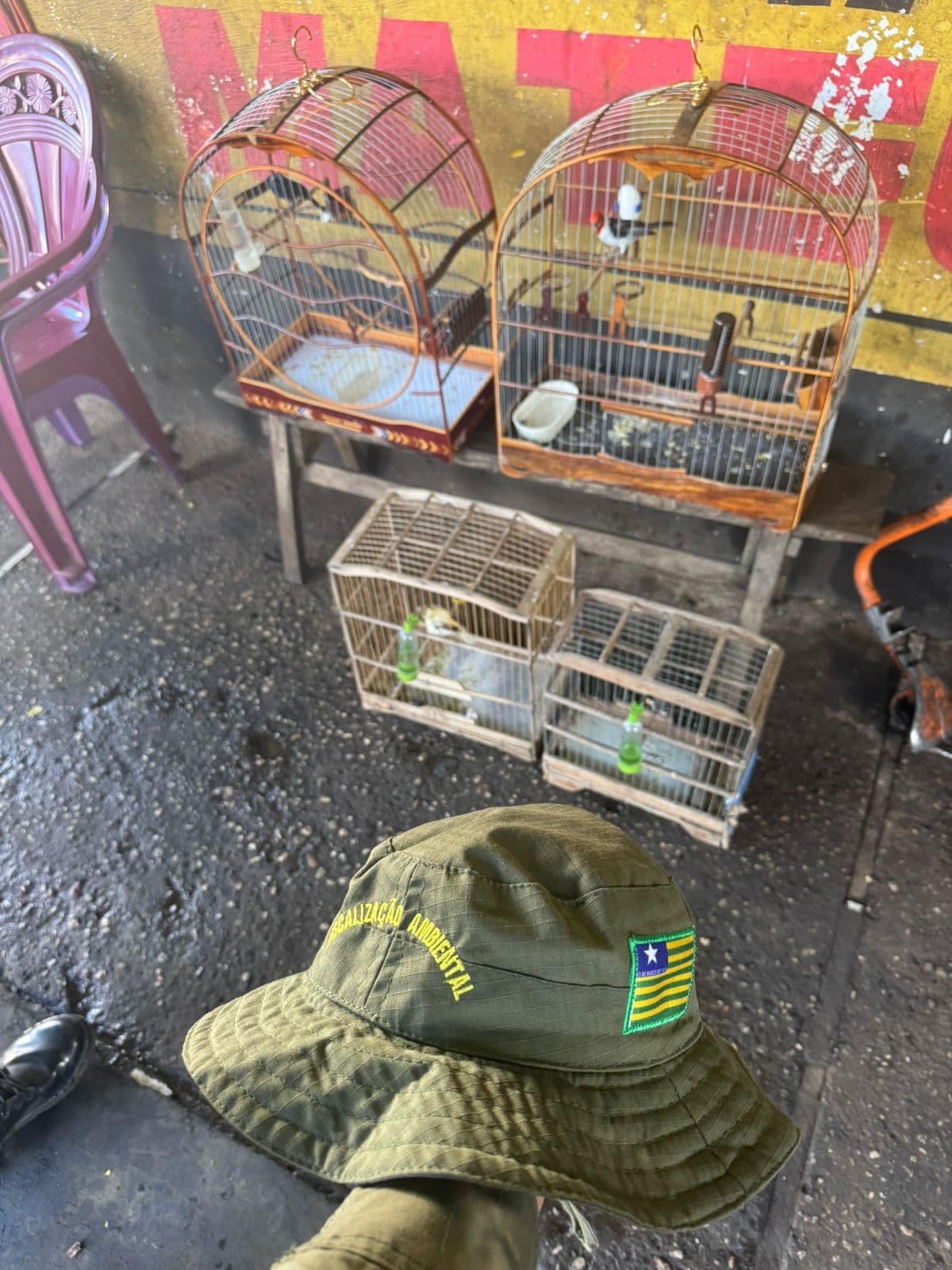 Matérial apreendido