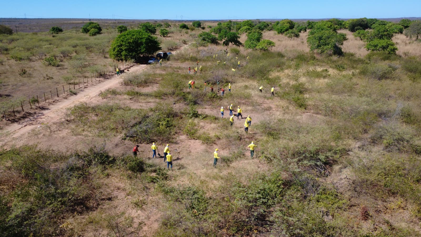 Treinamento em campo