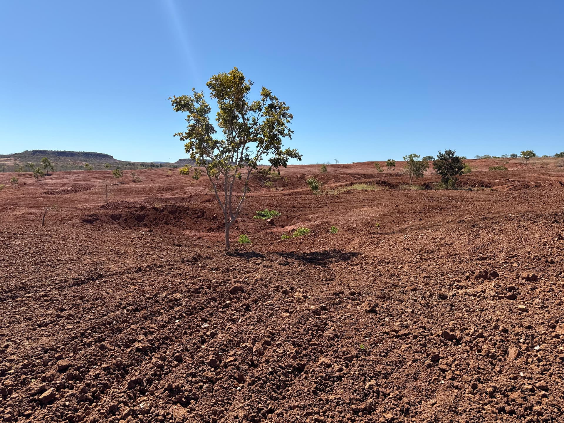 Tecnologia piauiense transforma solo degradado em Gilbués com gel natural inovador