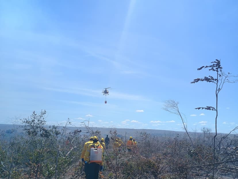 incendio-em-pavussu-e-canto-do-buriti-e-controlado-com-acao-intensa-de-brigadistas-e-helicoptero-da-pm