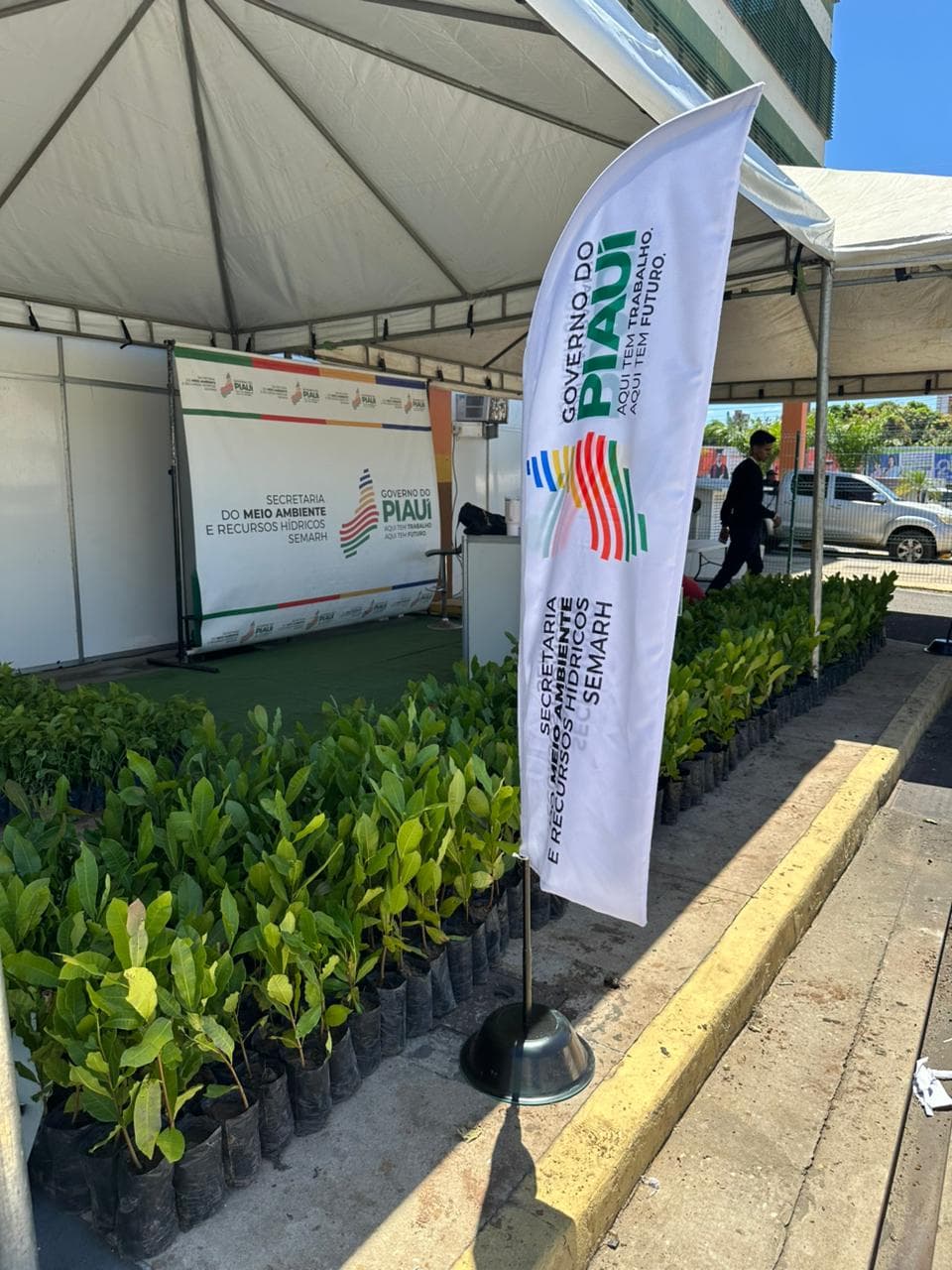 Semarh distribuirá 15 mil mudas no 4º Congresso das Cidades do Piauí