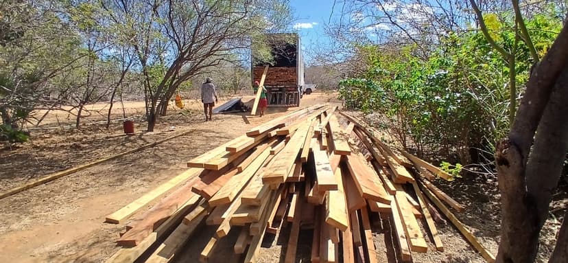 semarh-ja-apreendeu-213-m3-de-madeira-ilegal-em-2025-aumento-de-86-em-relacao-ao-ano-passado