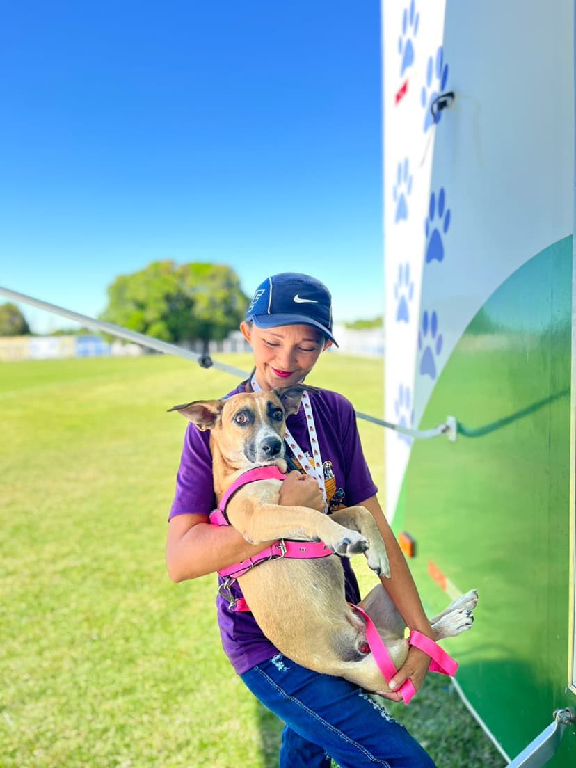 castramovel-executa-primeiras-cirurgias-de-castracoes-fora-de-teresina-acao-aconteceu-em-altos