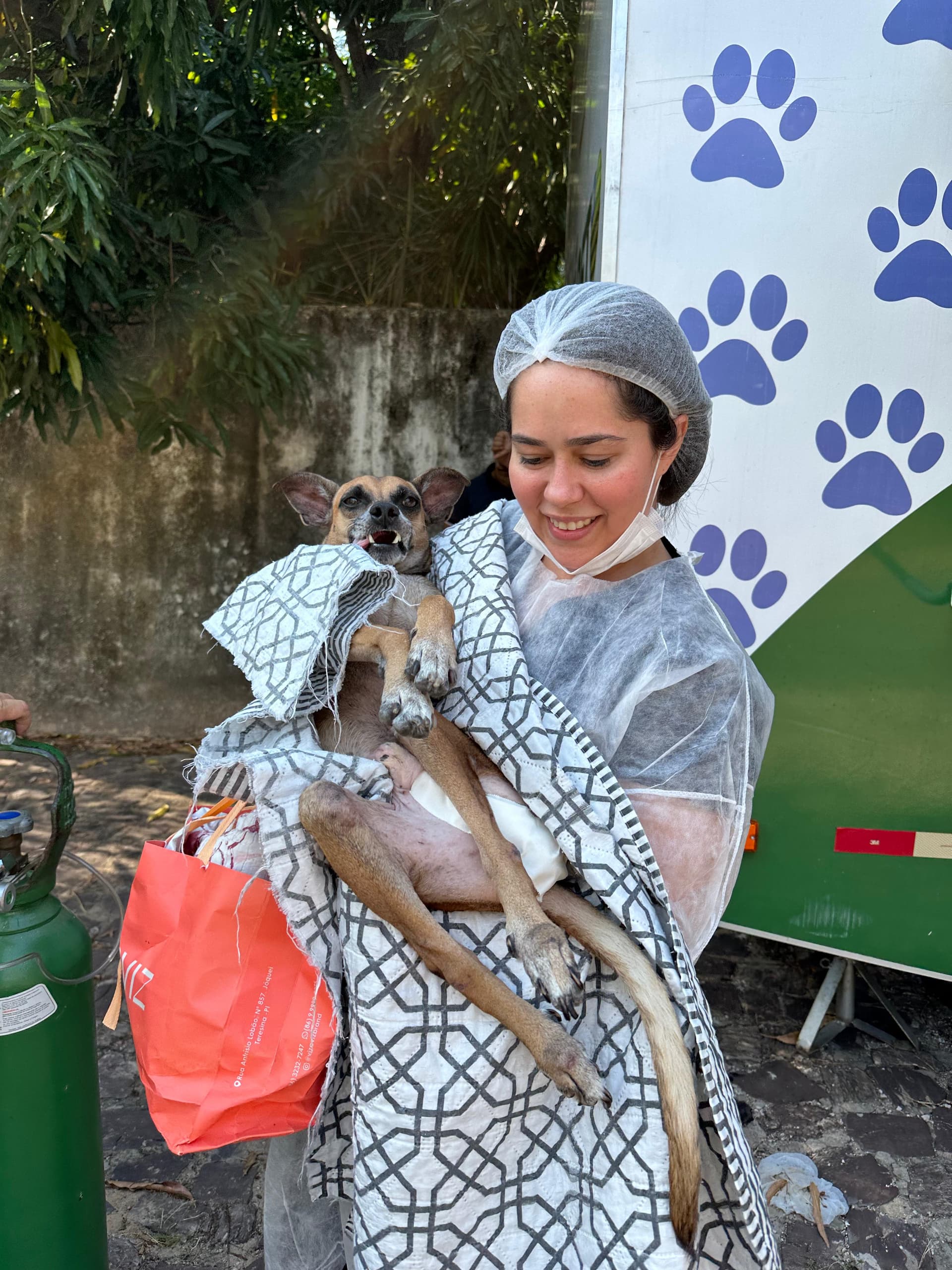 Castramóvel fecha primeiro mês de retorno com mais de 100 cirurgias