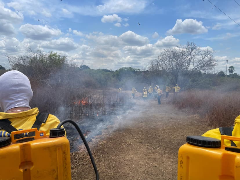 piaui-registra-queda-de-11-nos-incendios-apos-primeira-quinzena-da-portaria-que-proibe-queimadas