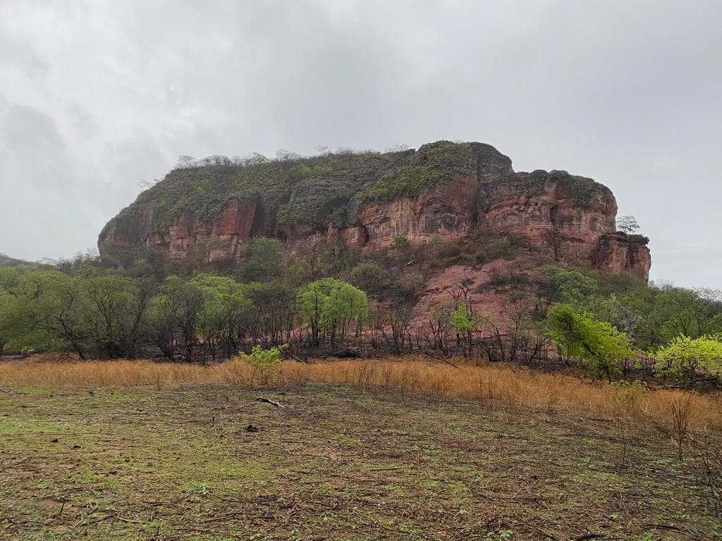 Parque Estadual do Rangel tem Plano de Manejo aprovado e reforça vocação turística do Sul do Piauí