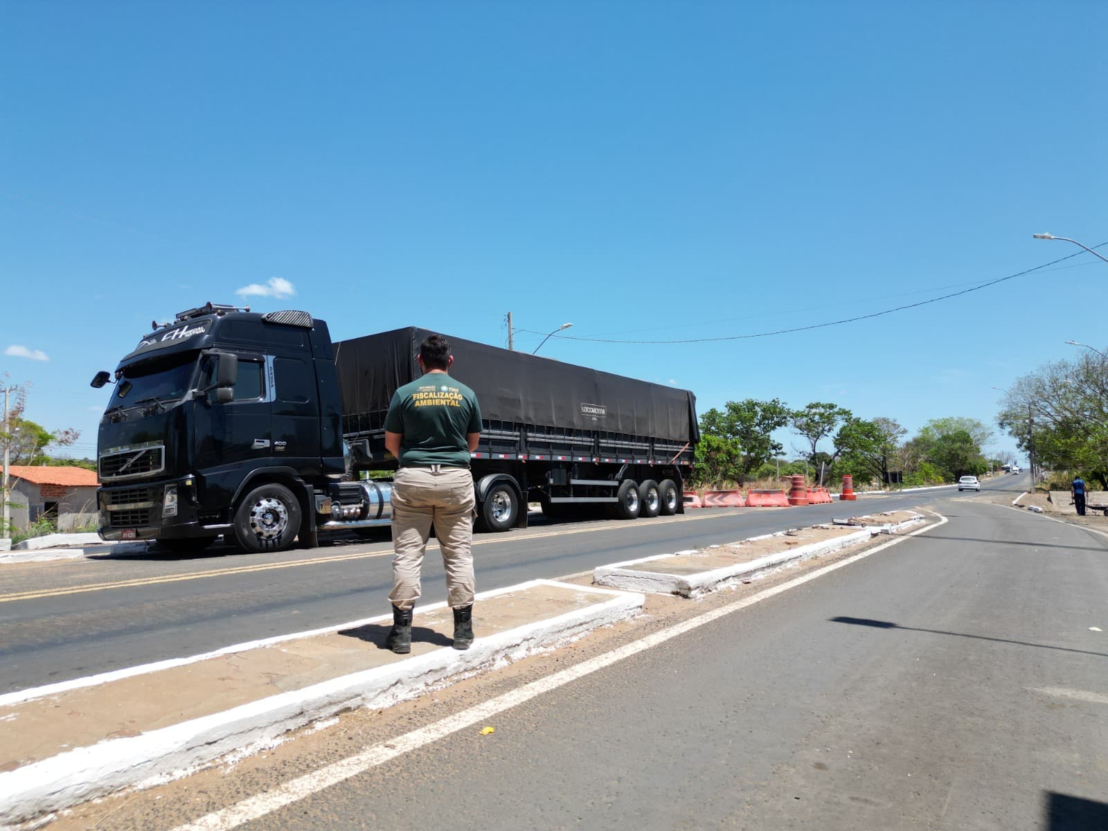 Operação Custodia Naturae já apreendeu 294 m³ de madeira ilegal no Piauí em 2025