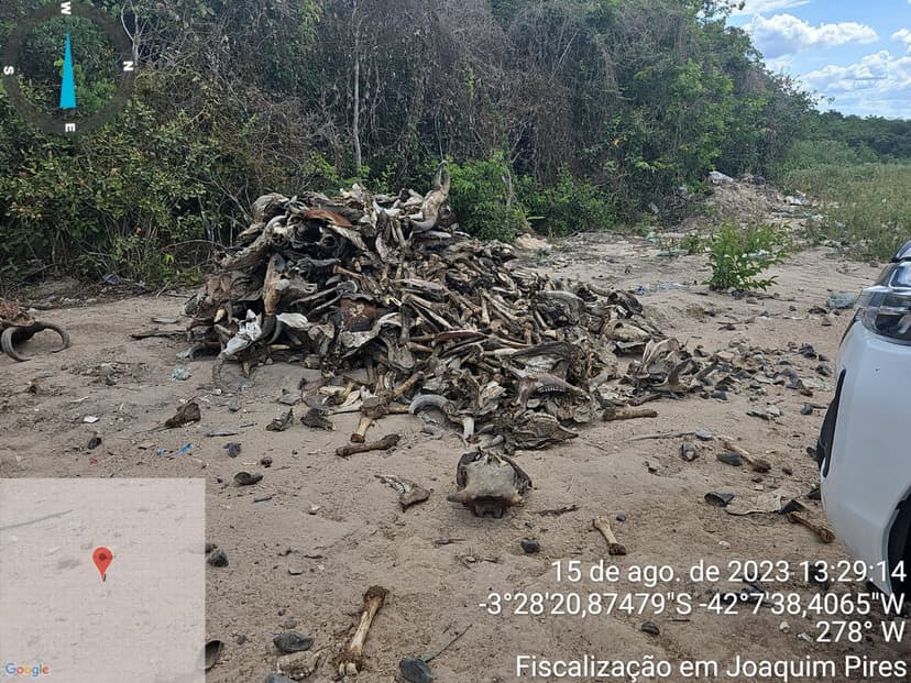 mais-de-20-dos-lixoes-do-piaui-ja-foram-desativados-isso-equivale-a-um-a-cada-cinco