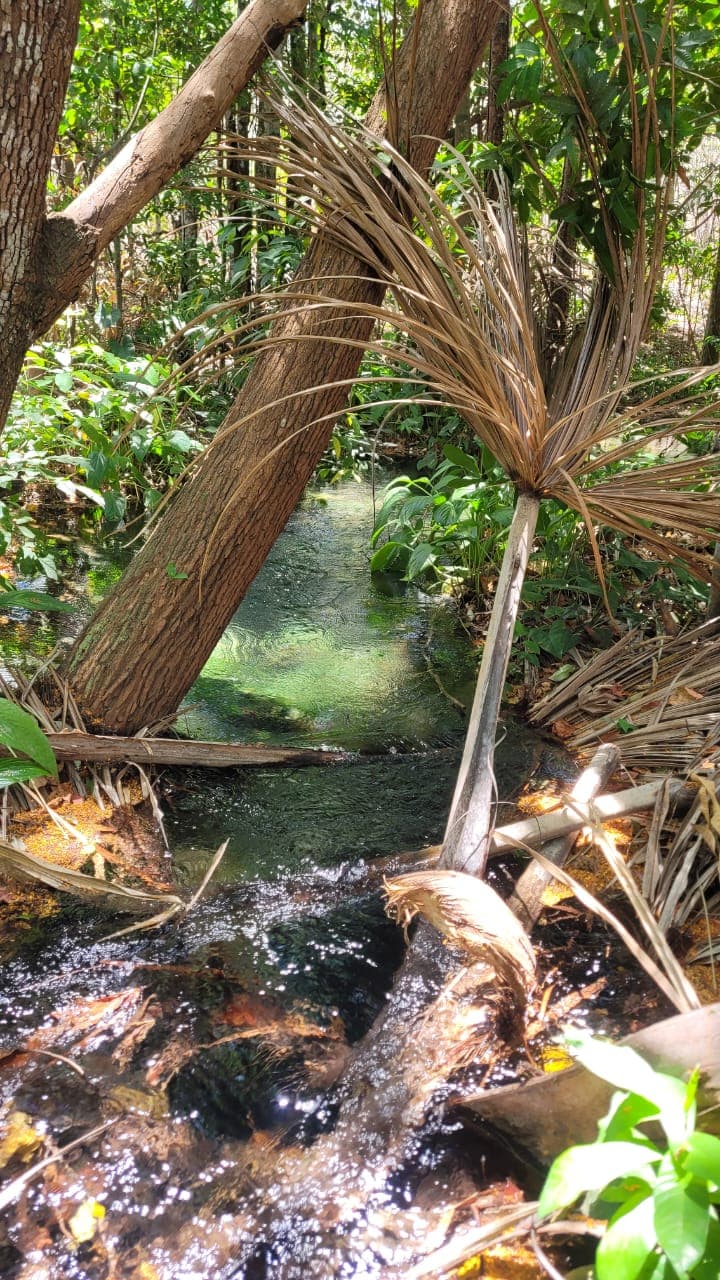 Semarh inicia monitoramento de nascentes no Piauí a partir de Ribeiro Gonçalves