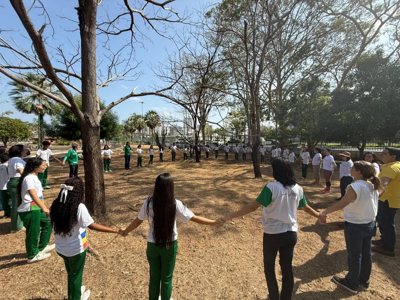 Blitz, plantio de mudas e limpeza do Rio Poti marcam Dia da Árvore e Dia Mundial da Limpeza