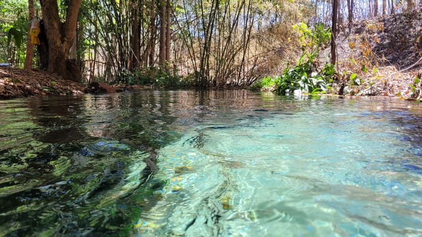 dia-mundial-dos-rios-piaui-reforca-preservacao-de-nascentes-e-repovoamento-de-peixes-nativos