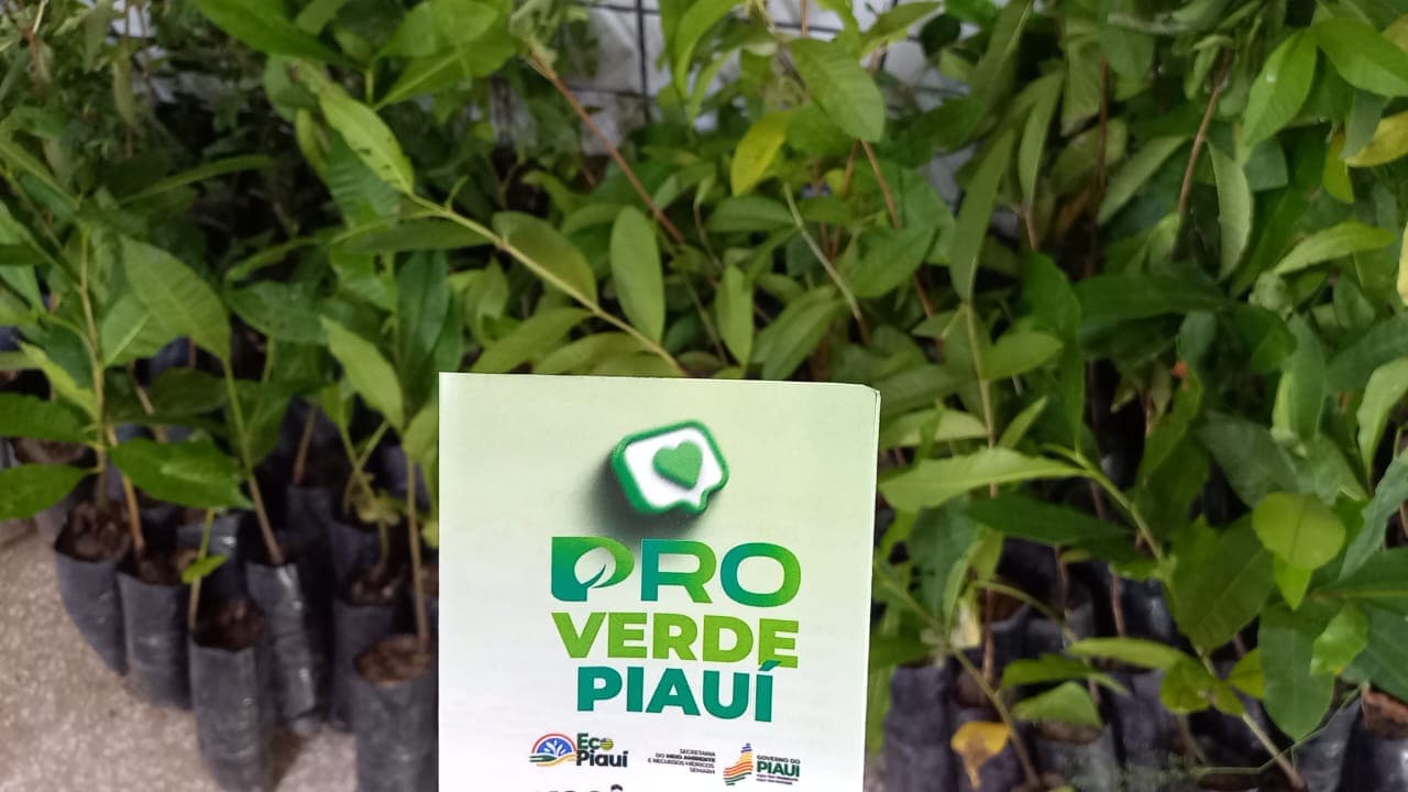 Setembro foi um mês fértil para a educação ambiental no Piauí.