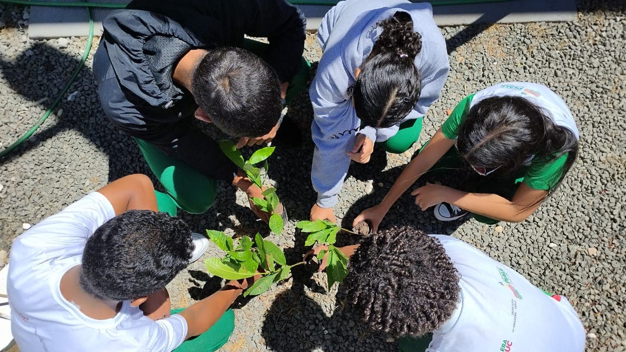 Setembro foi um mês fértil para a educação ambiental no Piauí.
