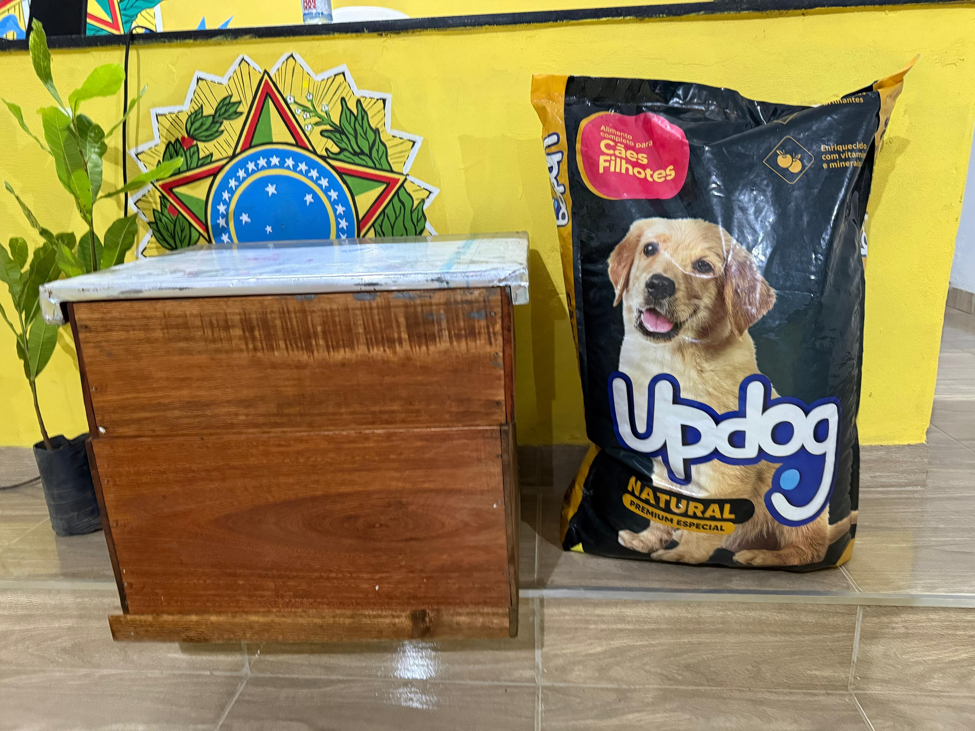 Piauí fortalece apicultura familiar com nova doação de colmeias em Rio Grande do Piauí