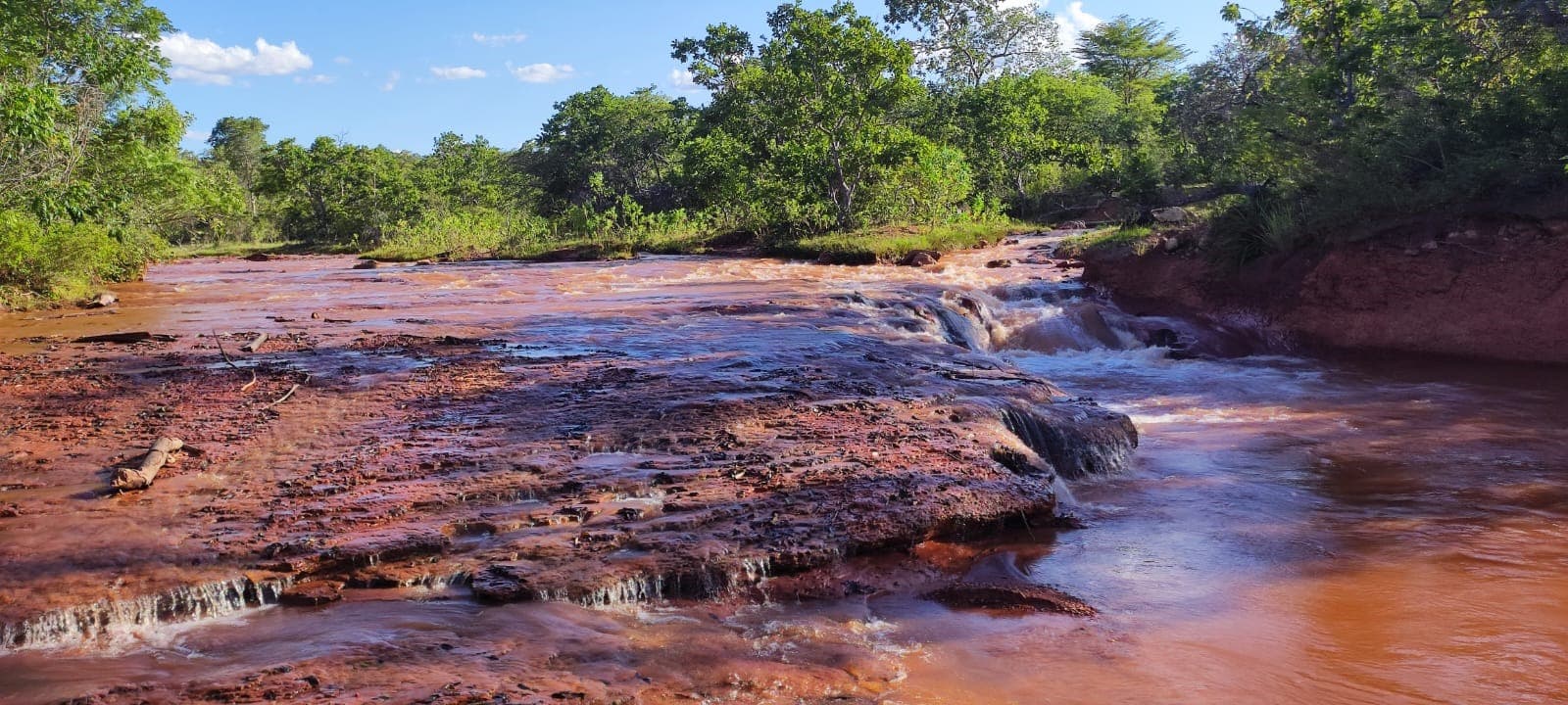 Piauí avança na gestão ambiental com aprovação de quatro novos Planos de Manejo