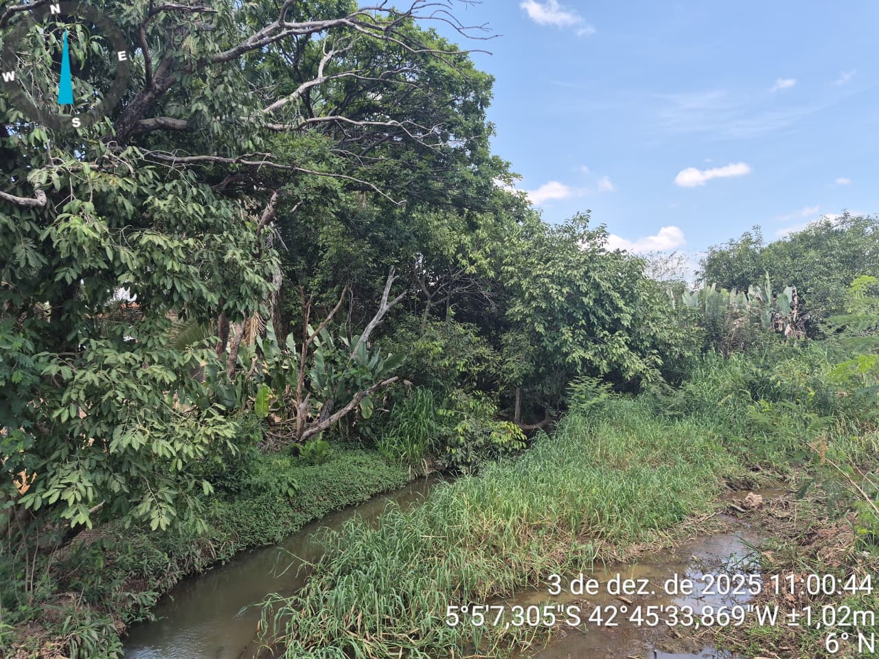 Desmatamento no Recanto das Palmeiras: ação rápida da Semarh confirma irregularidades às margens do riacho Itararé