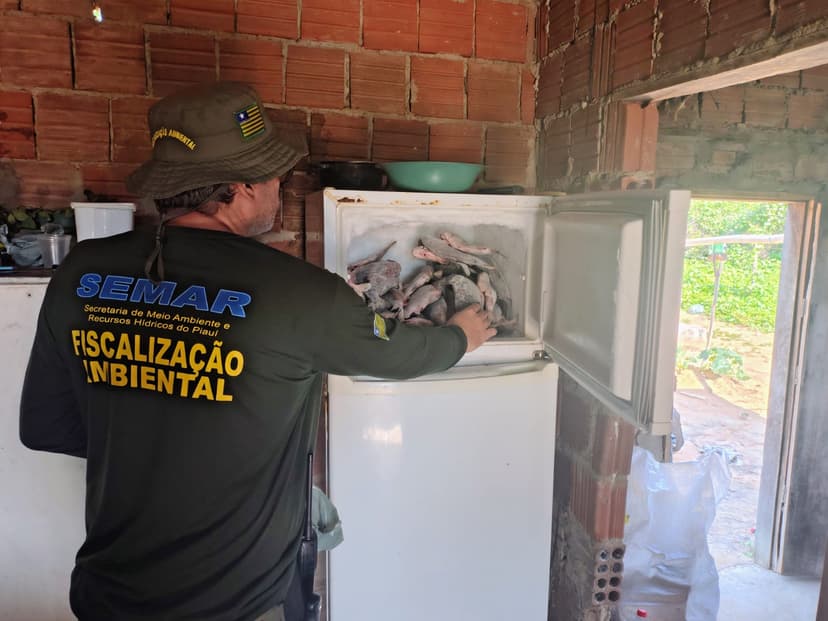 fiscalizacao-da-semarh-flagra-pescador-em-atividade-e-apreende-66-quilos-de-peixe-durante-piracema-no-piaui