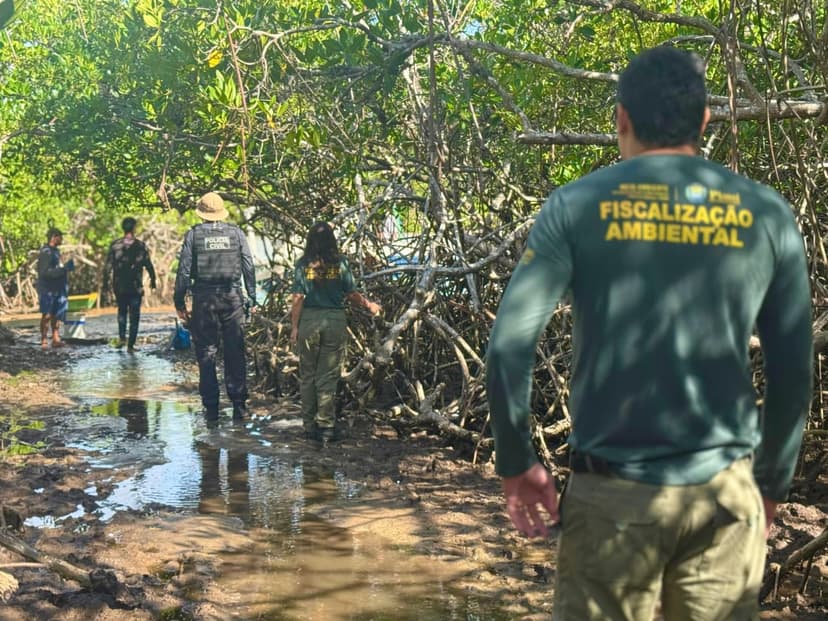 respeito-a-natureza-marca-primeira-semana-do-defeso-do-caranguejo-no-litoral-do-piaui