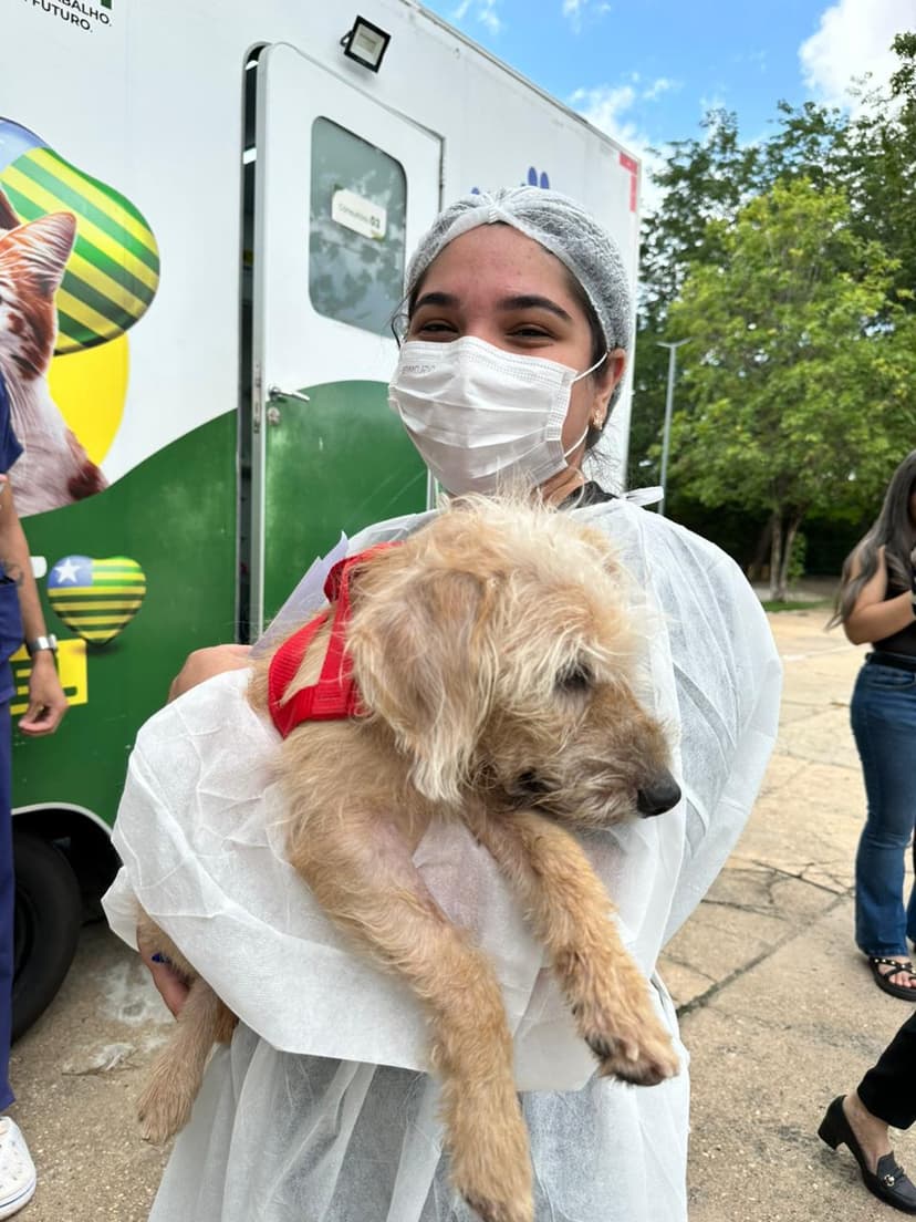 semarh-avanca-na-protecao-animal-e-publica-edital-para-garantir-acolhimento-a-caes-e-gatos-vitimas-de-maus-tratos
