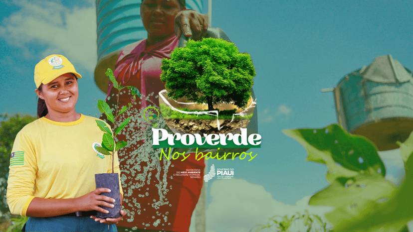 com-a-distribuicao-de-15-mil-mudas-semarh-lanca-projeto-proverde-nos-bairros