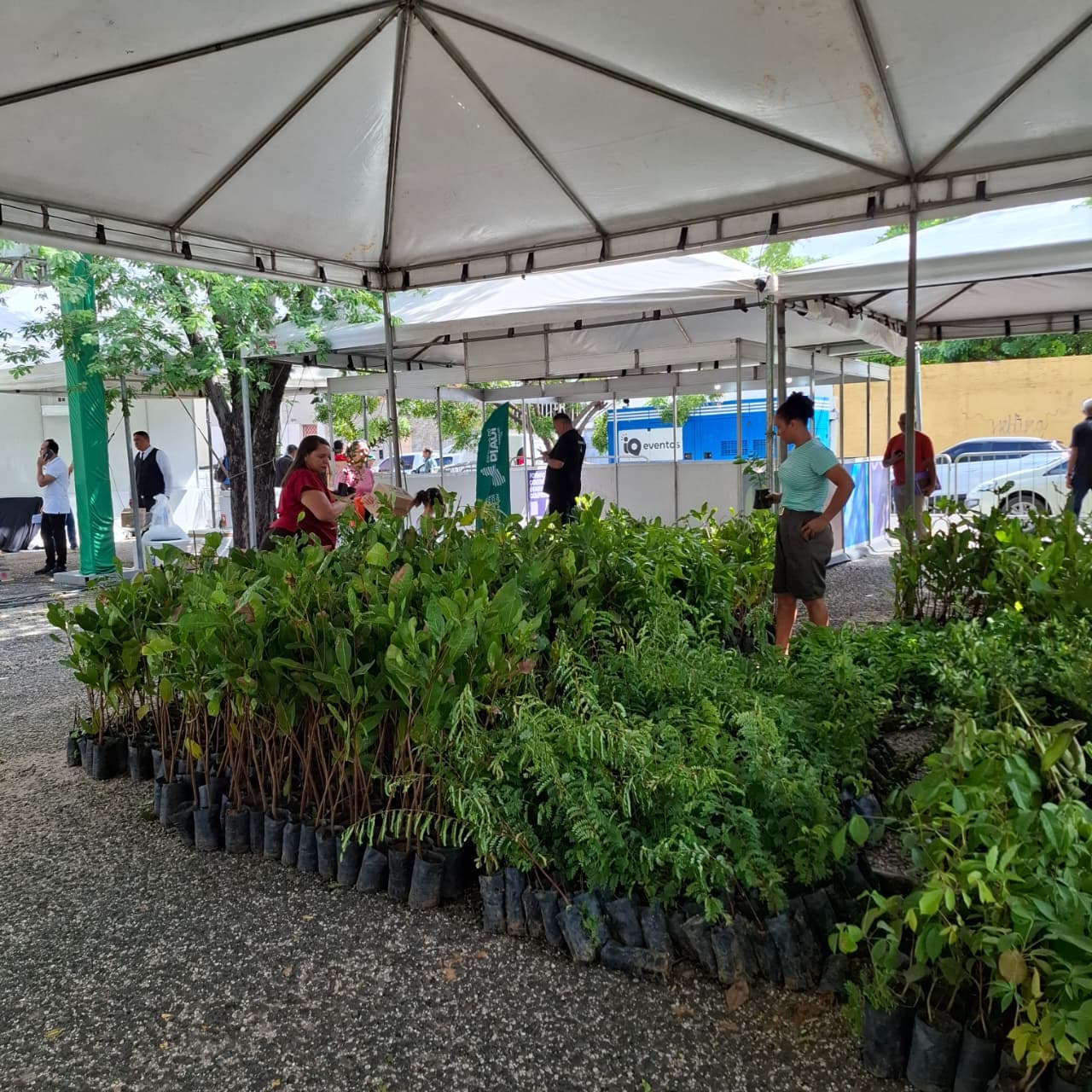 Semarh leva educação ambiental e proteção animal ao “Governo do Brasil na Rua” em Teresina