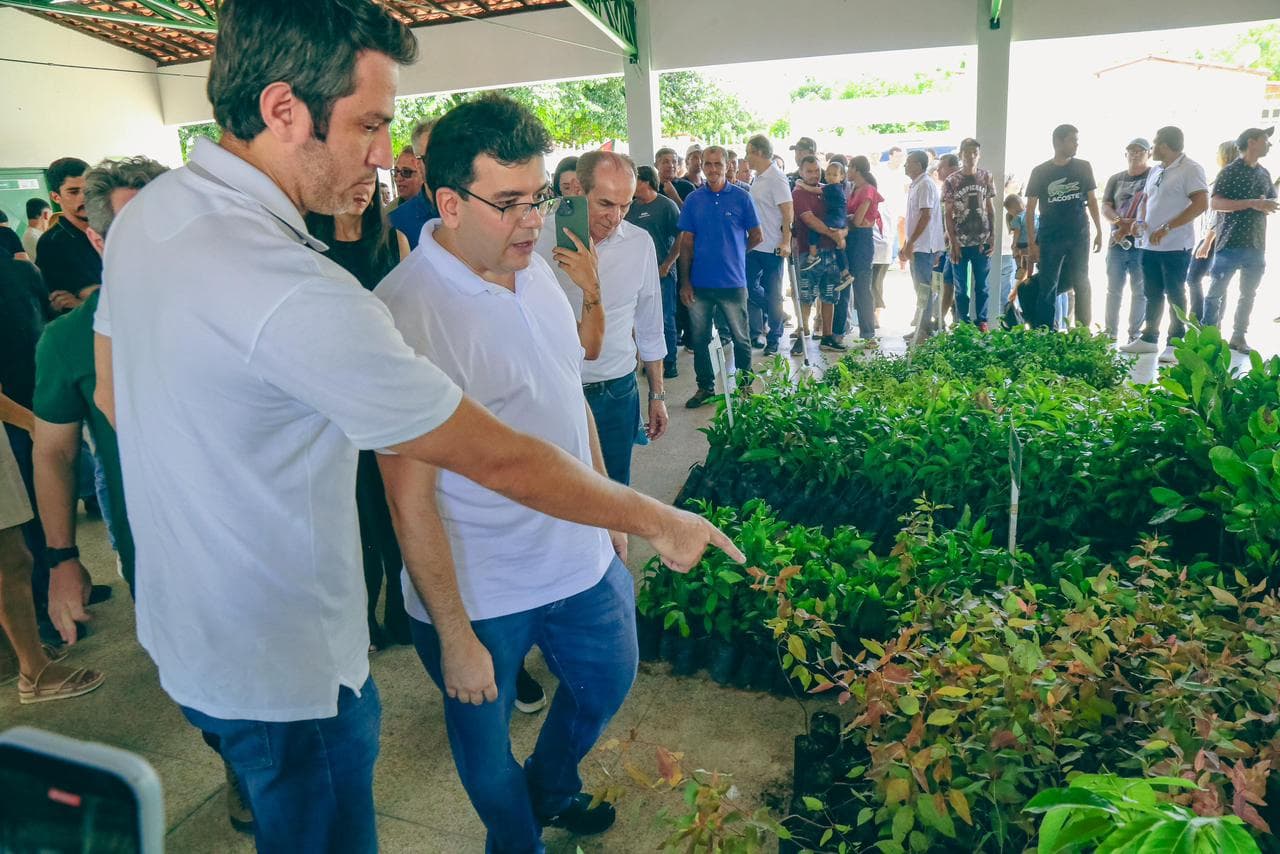 Proverde avança no interior e distribui mais 12 mil mudas frutíferas e nativas em três cidades do Piauí