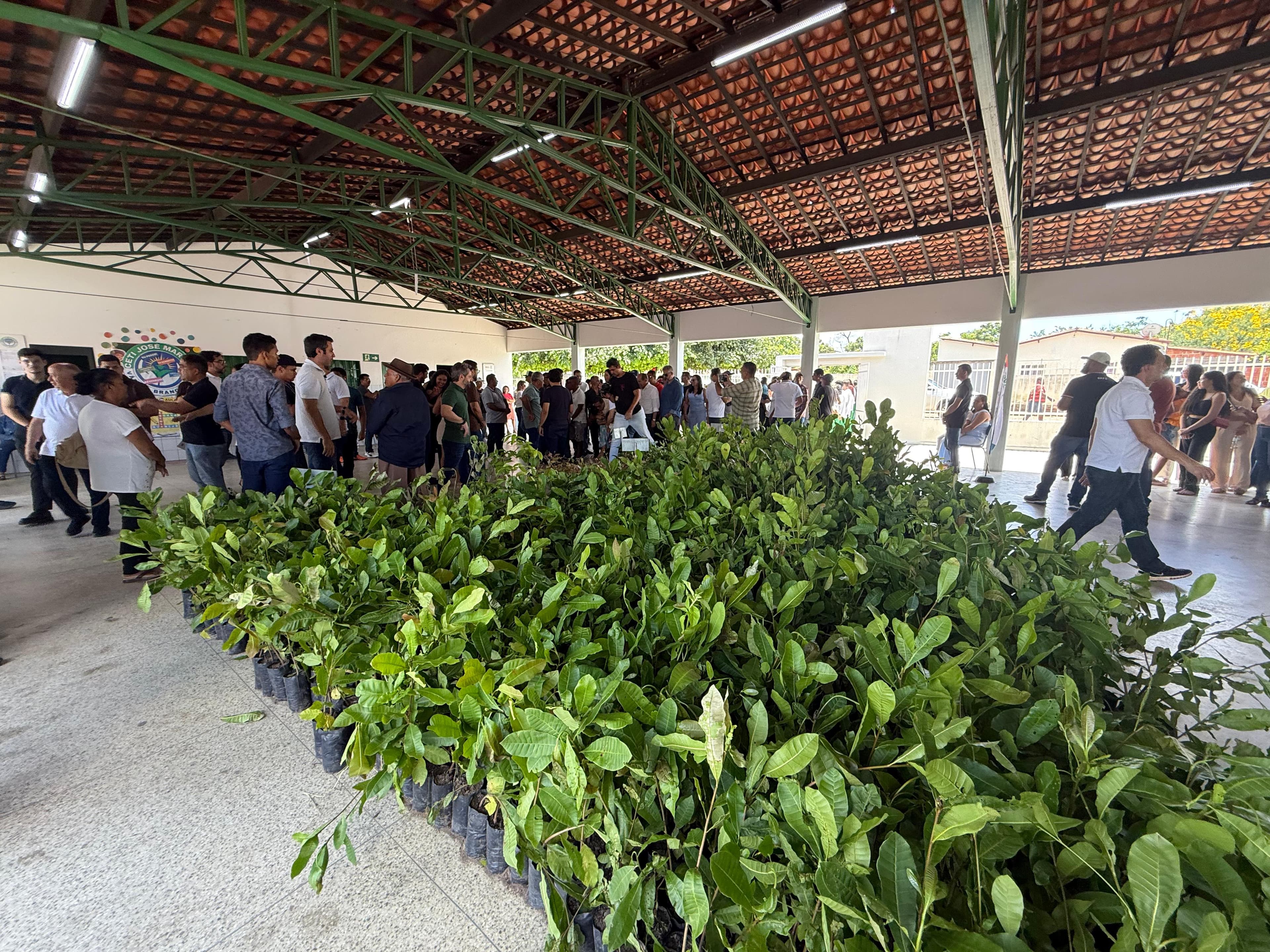 Proverde avança no interior e distribui mais 12 mil mudas frutíferas e nativas em três cidades do Piauí