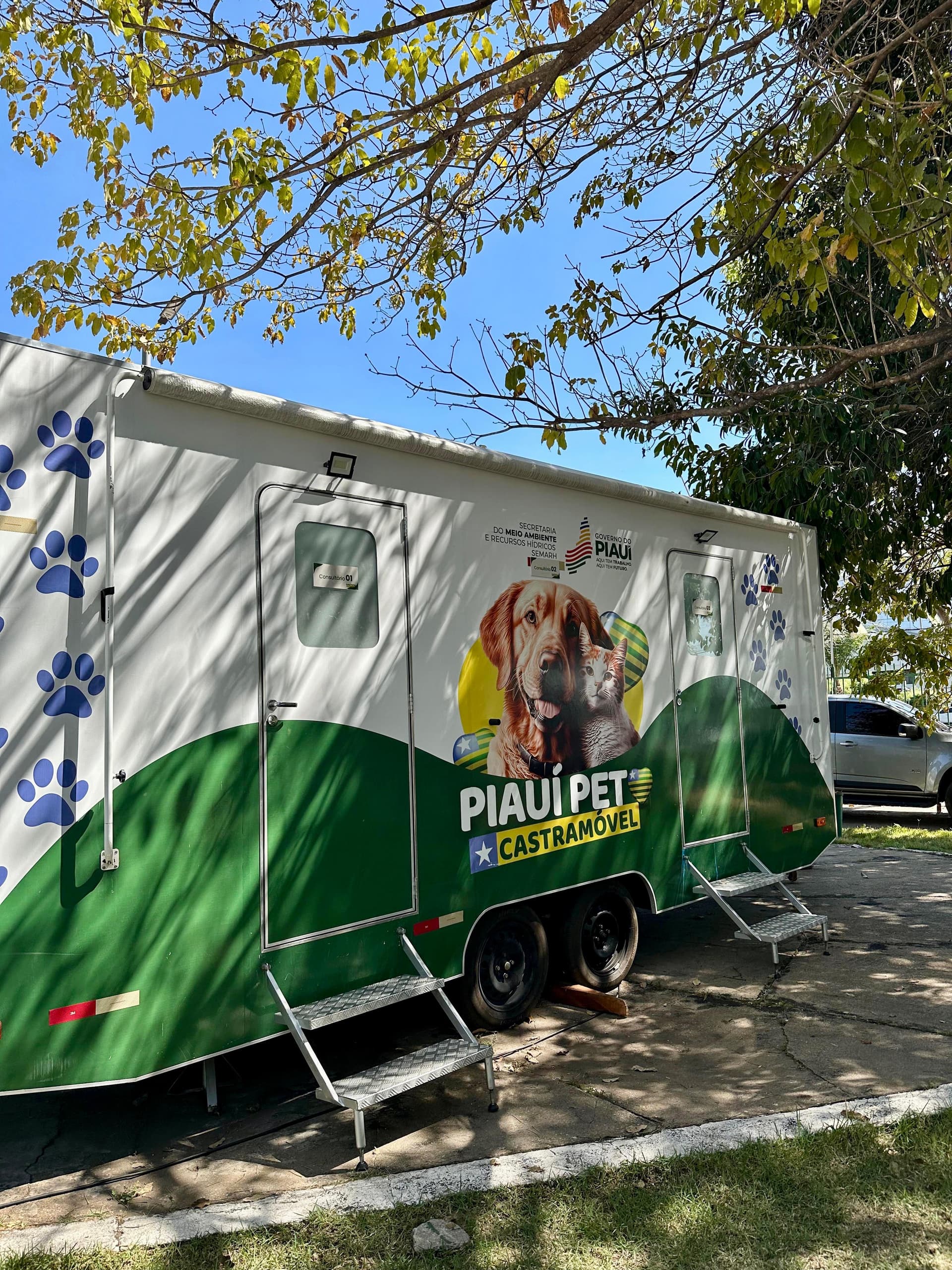 Castramóvel ultrapassa 500 castrações em 2026 e amplia atendimento em cidades do Piauí