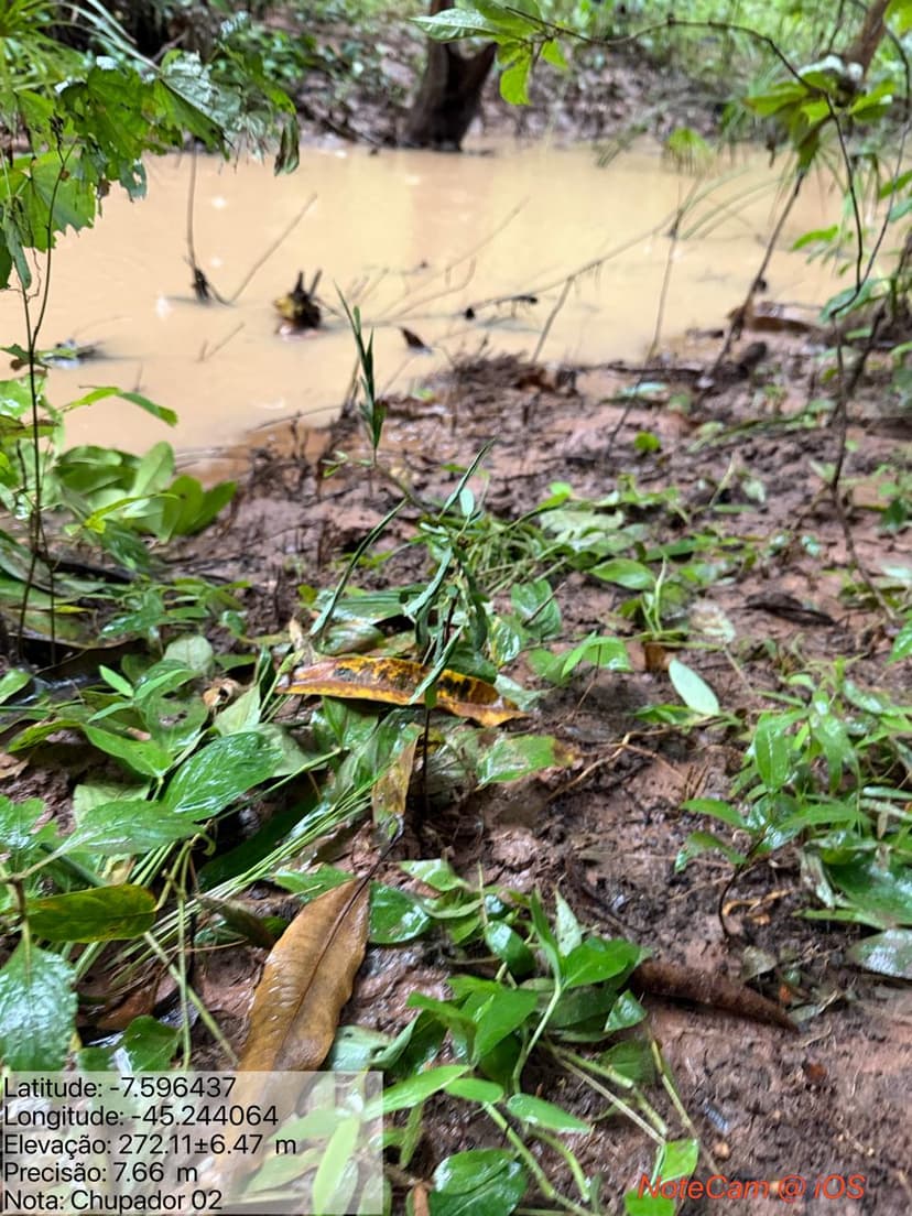 semana-da-agua-semarh-recupera-cinco-nascentes-em-ribeiro-goncalves-e-reforca-seguranca-hidrica-no-cerrado